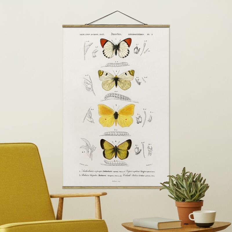 Imagen de tela - Vintage Board Butterflies II - Alto 3:2 Dimensión LxA: 150cm x 100cm
Imagen de tela - Vintage Board Butterflies II - Alto 3:2 Dimensión LxA: 150cm x 100cm