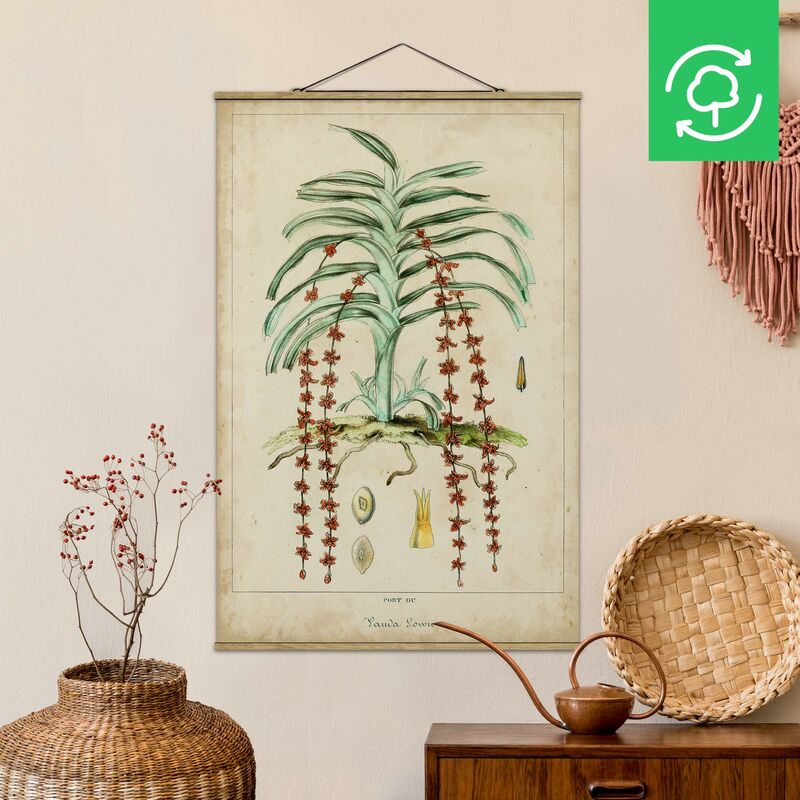 Imagen de tela - Vintage Board Exotic Palms IV - Alto 3:2 Dimensión LxA: 150cm x 100cm
Imagen de tela - Vintage Board Exotic Palms IV - Alto 3:2 Dimensión LxA: 150cm x 100cm