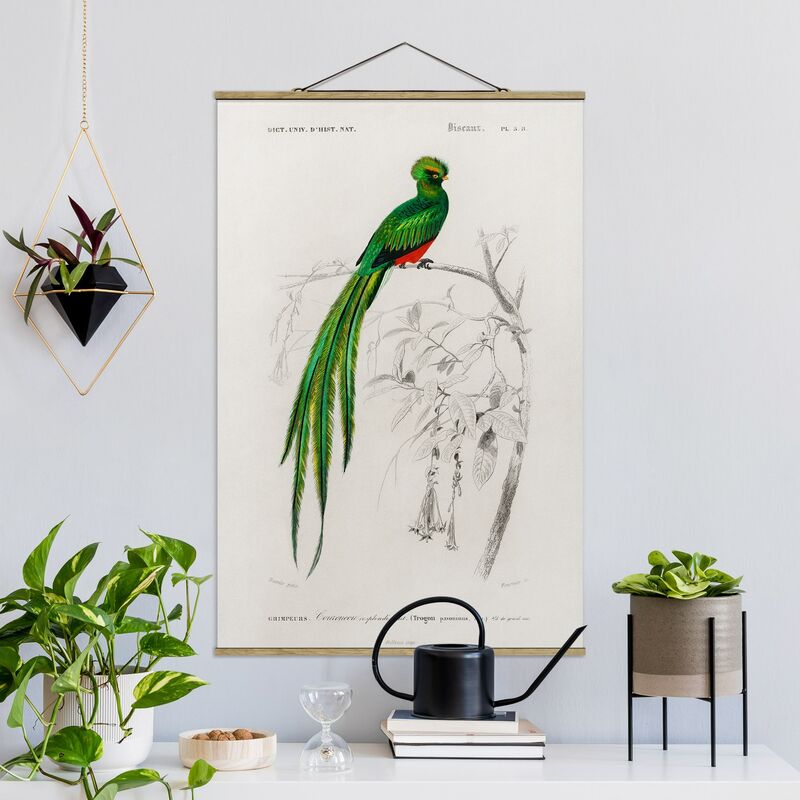Imagen de tela - Vintage Board Tropical Bird I - Alto 3:2 Dimensión LxA: 120cm x 80cm
Imagen de tela - Vintage Board Tropical Bird I - Alto 3:2 Dimensión LxA: 120cm x 80cm
