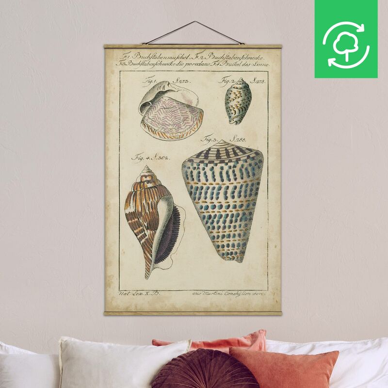 Imagen de tela - Vintage Conch Drawing Pattern Bunte - Alto 3:2 Dimensión LxA: 75cm x 50cm
Imagen de tela - Vintage Conch Drawing Pattern Bunte - Alto 3:2 Dimensión LxA: 75cm x 50cm