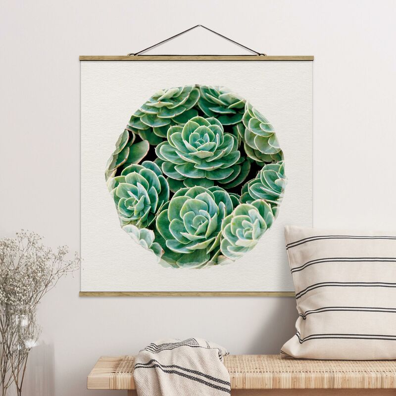 Imagen de tela - Water Colors - Green Succulents - Cuadrado 1:1 Dimensión LxA: 50cm x 50cm
Imagen de tela - Water Colors - Green Succulents - Cuadrado 1:1 Dimensión LxA: 50cm x 50cm