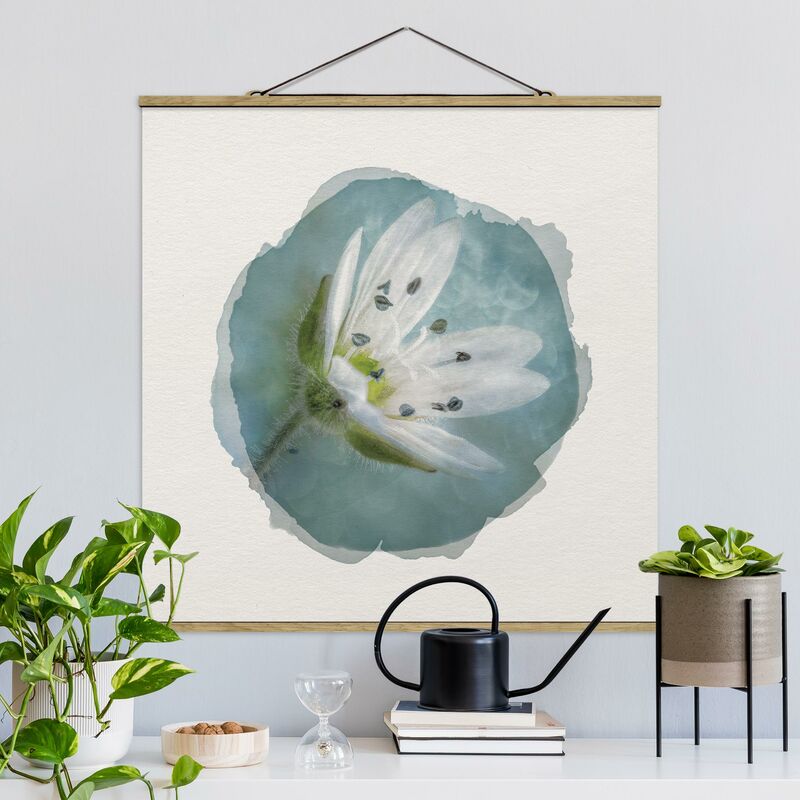 Imagen de tela - Watercolors - White Blossom On Blue - Cuadrado 1:1 Dimensión LxA: 50cm x 50cm
Imagen de tela - Watercolors - White Blossom On Blue - Cuadrado 1:1 Dimensión LxA: 50cm x 50cm