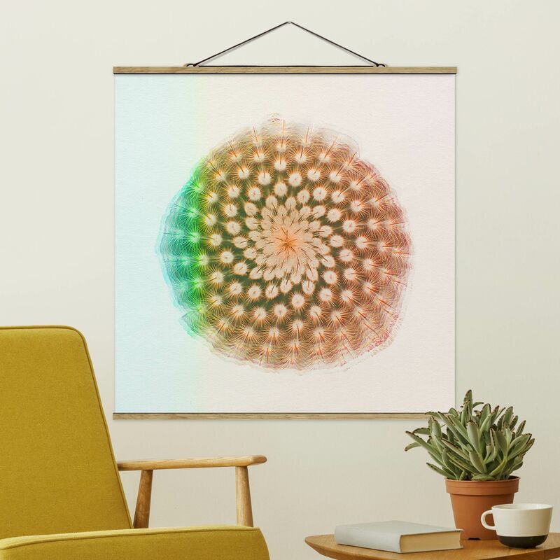 Imagen de tela - Watercolors - Cactus Flower - Cuadrado 1:1 Dimensión LxA: 35cm x 35cm
Imagen de tela - Watercolors - Cactus Flower - Cuadrado 1:1 Dimensión LxA: 35cm x 35cm