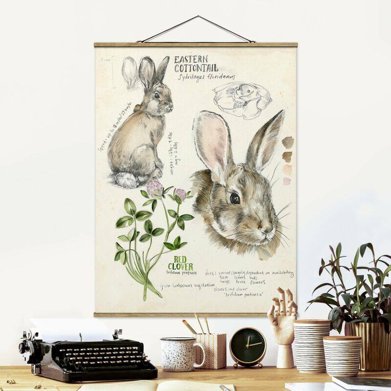 Imagen de tela - Wilderness Journal - Rabbit - Alto 4:3 Dimensión LxA: 66.4cm x 50cm
Imagen de tela - Wilderness Journal - Rabbit - Alto 4:3 Dimensión LxA: 66.4cm x 50cm