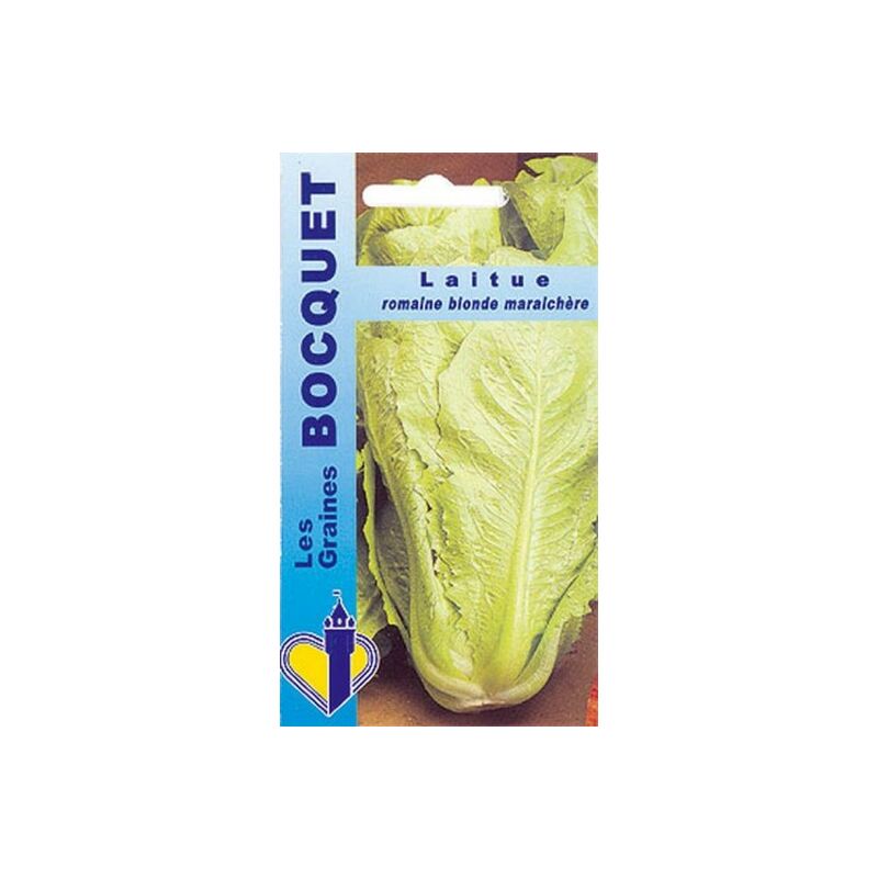 Laitue romaine Blonde maraîchère 4g