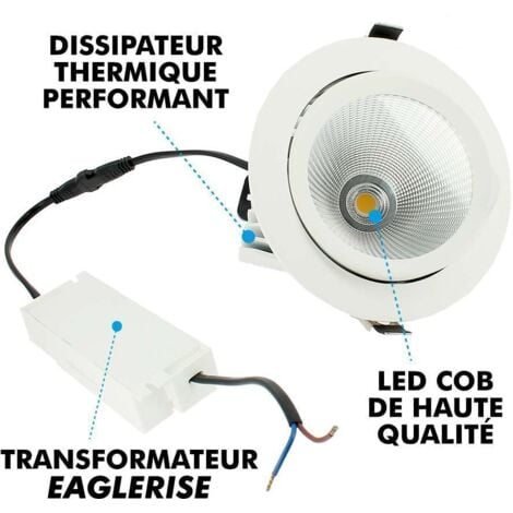 Foco LED Empotrable Orientable COB 30W Pro Snail Temperatura De Color