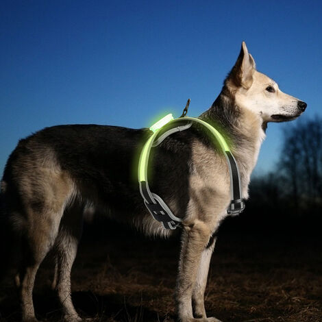 Hengda Arnés LED para perros con control de manija para cachorros que