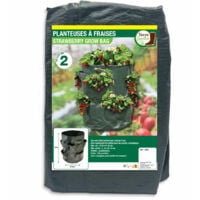 Sac Fraisiers Sac De Plantation Pour Fraises X