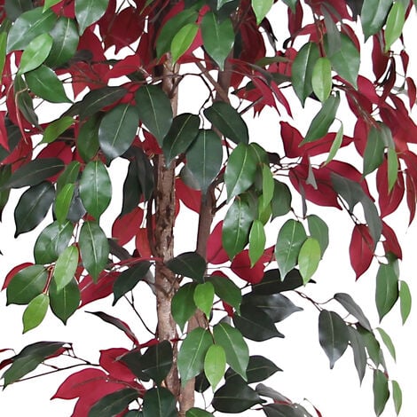 Rouge Ficus Benjamina Plante Arbre Artificielle Artificiel 150cm Decovego