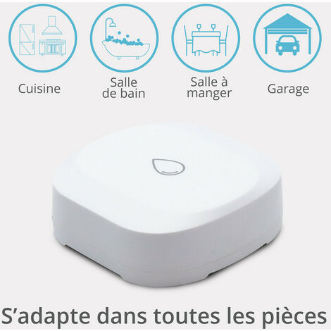 D Tecteur D Inondation Intelligent Sans Fil Zigbee