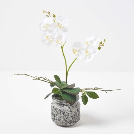 Homescapes K Nstliche Wei Gelbe Phalaenopsis Orchidee Im Dunklen