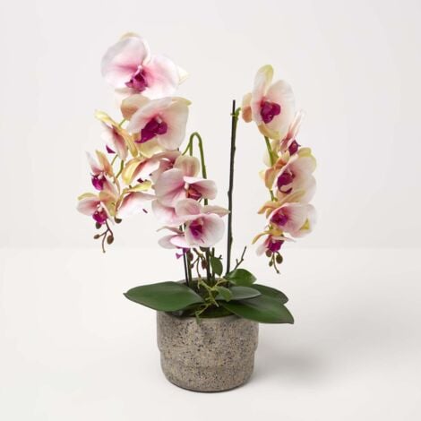 Homescapes K Nstliche Pink Wei E Phalaenopsis Orchidee Im Hellgrauen