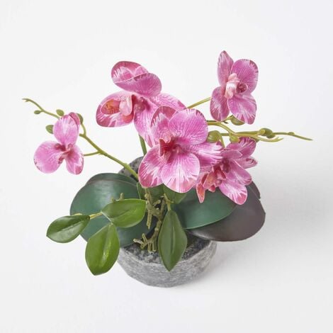 Homescapes K Nstliche Pinke Phalaenopsis Orchidee Im Grauen Zement Topf