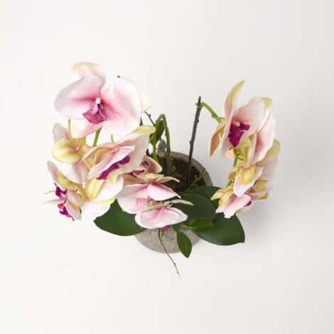 Homescapes Orchid E Artificielle Rose En Pot En Ciment Naturel Cm