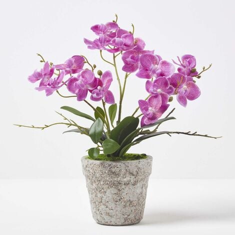 Homescapes Orchidée artificielle violette en pot en ciment naturel 42 cm