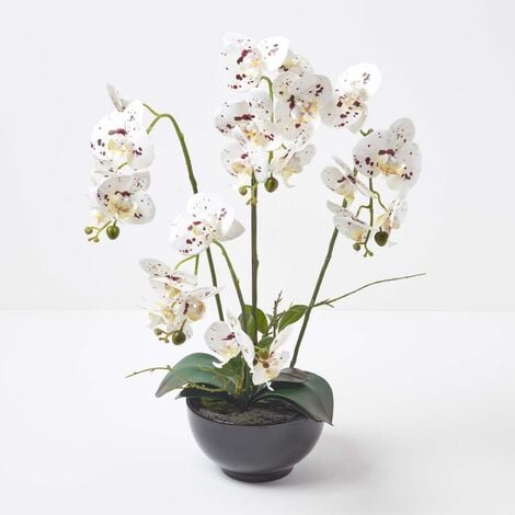 Homescapes Orchidée artificielle blanche en pot en céramique noir 62 cm