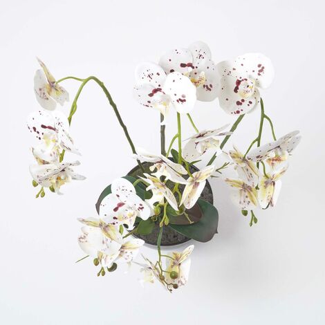 Homescapes Orchid E Artificielle Blanche En Pot En C Ramique Noir Cm