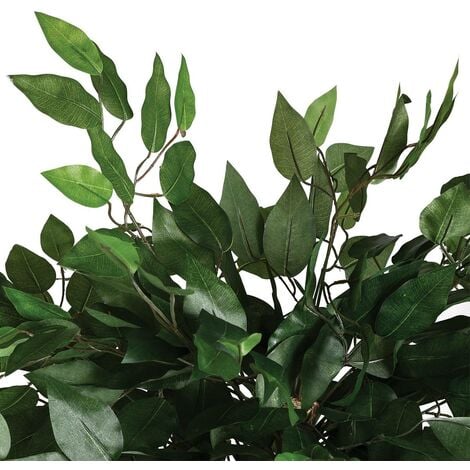 Ficus Artificiel Vert H Cm Atmosphera Cr Ateur D Int Rieur