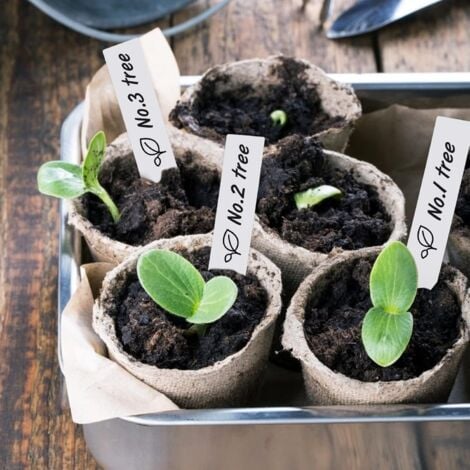 Tiquettes De Plantes En Plastique Pais De Pouces Pi Ces