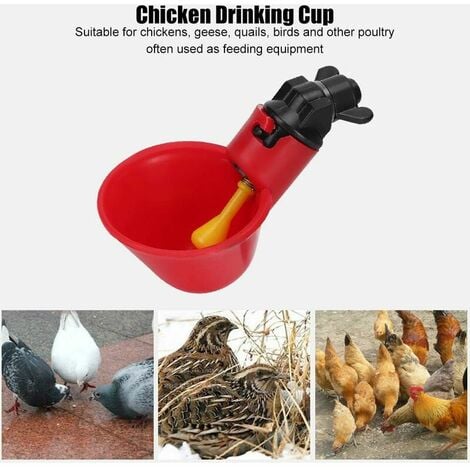 Abreuvoir Poulet 10 PCS Distributeurs Automatiques D Eau De Volaille