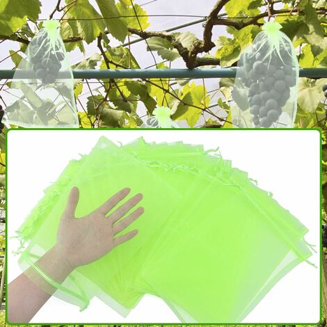 Lot De Sacs En Filet De Protection Des Fruits Verts X Cm