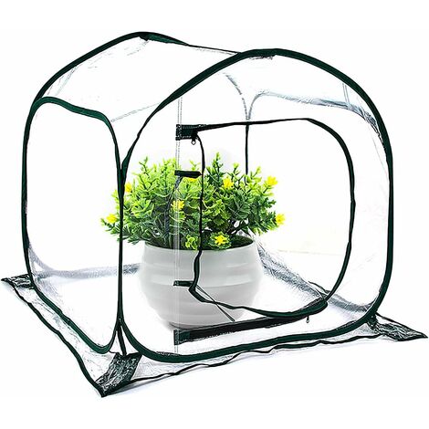 Mini Pop Up Greenhouse Small Winter Tent For Plants Flower Pot