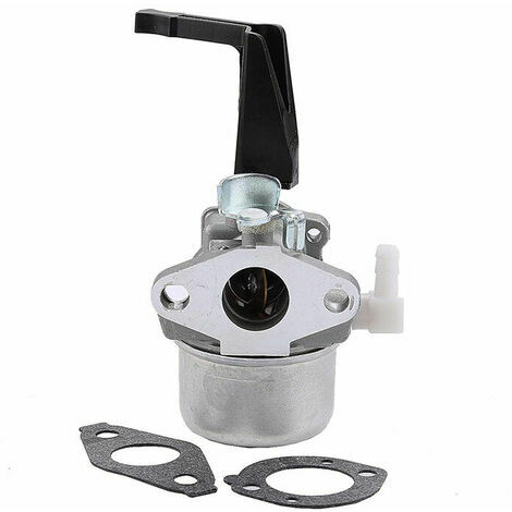 Snow Carburetor With Mounting Gasketfor Briggs Stratton 696065