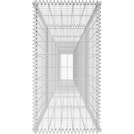 VidaXL Mur En Gabion Avec Couvercle Acier Galvanis 600x50x100 Cm