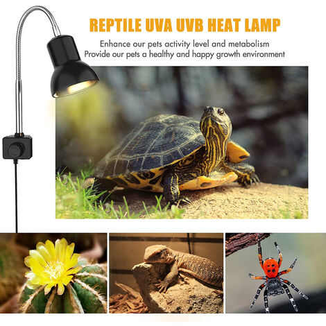 Lampe chauffante 25W avec support UVA UVB lampe pour se prélasser avec