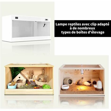 Kit Lampe Chauffante Tortue Terrestre Lampe Reptiles Chauffante Avec 2