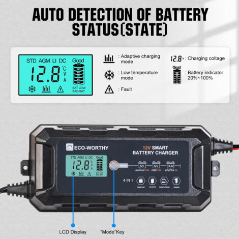 ECO WORTHY 12V 50Ah LiFePO4 Akku Lithium Batterie 12V Und 10A Batterie