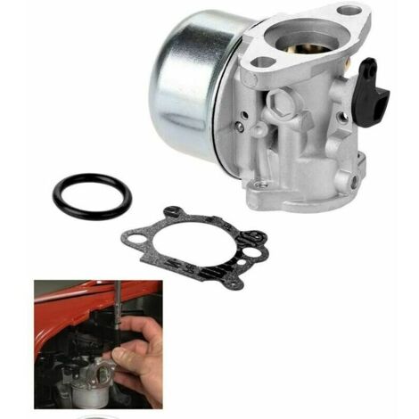 Gabrielle Carburetor Fits Briggs Stratton