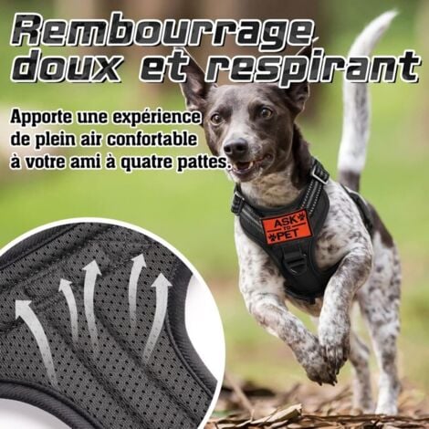 Harnais Chien Anti Traction Harnais Tactique Chien R Fl Chissant