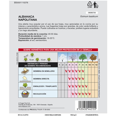 Semillas Arom Ticas Albahaca Gigante 5 Gramos Horticultura Horticola