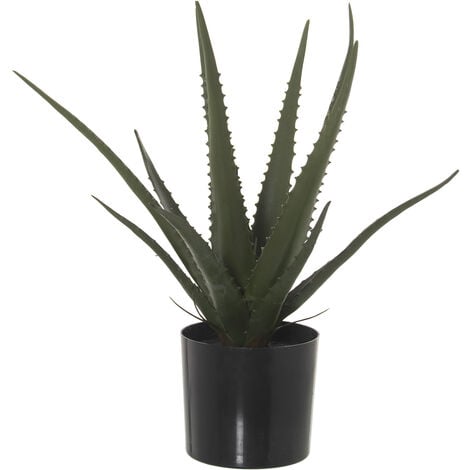 Plante Artificielle D Aloe Vera Cm