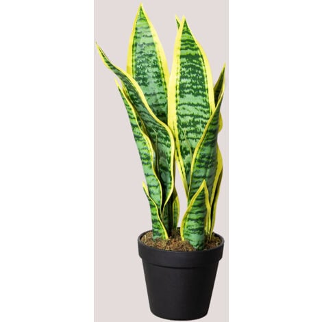 Sklum Pianta Artificiale Decorativa Sansevieria Cm Cm