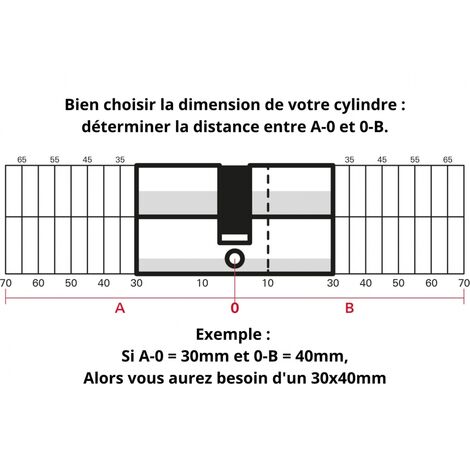 Cylindre de serrure à double entrée Trafic 6 30x30mm nickel anti