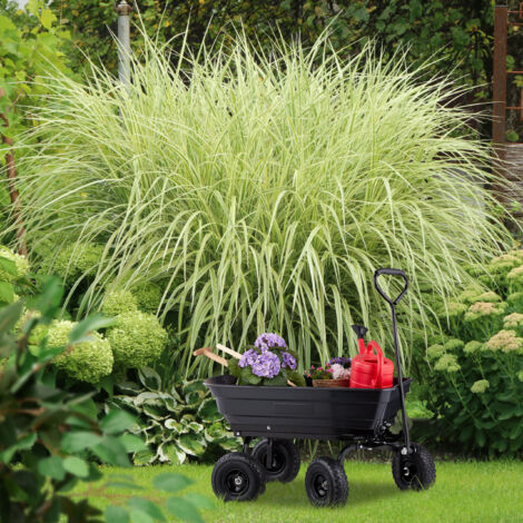 Relaxdays Chariot De Jardin Avec Benne Basculante Roues