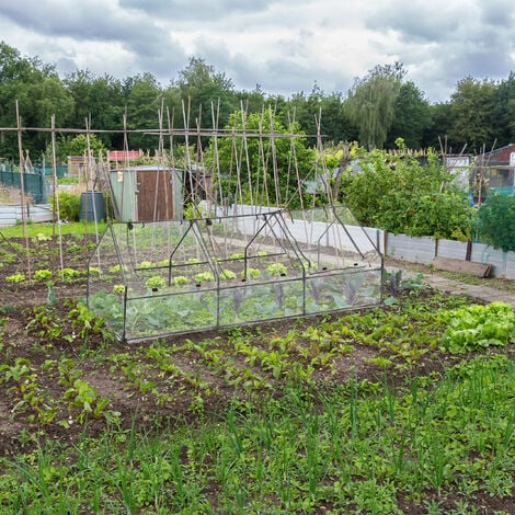 Relaxdays Serre De Jardin Portes B Che En Pvc Culture Des Plantes