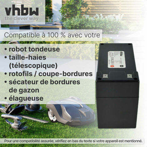 Vhbw X Batterie Compatible Avec Ambrogio L R L Evolution L