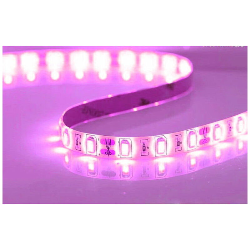 Bobina Striscia Strip Led Flessibile M Adesiva Luce Interno