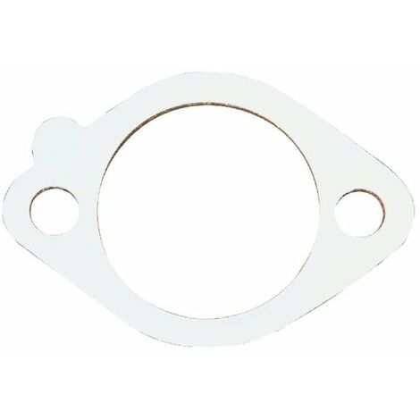 Joint De Filtre BRIGGS ET STRATTON 272296