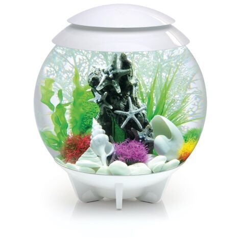 Aquarium D Coratif L Blanc Oase Halo Mcr White