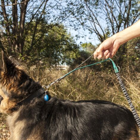 Primematik Correa Ajustable Para Perros De Jogging Cm Correa