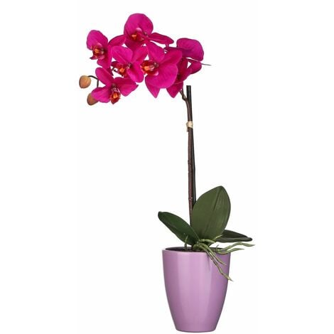 Mica Kunstpflanze Phalaenopsis Im Topf Violett 42 X 20 Cm Kunstpflanzen