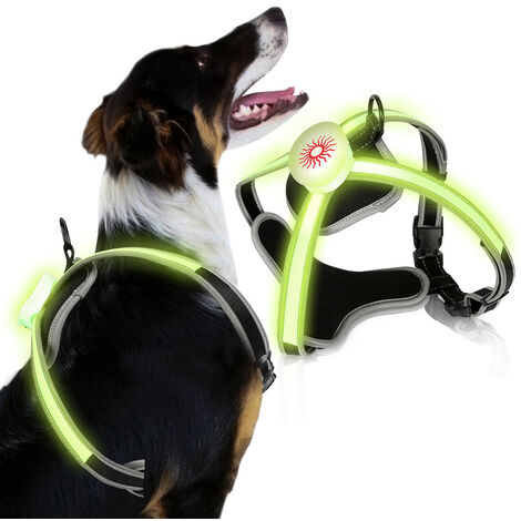 Deactive Hengda Hundegeschirr LED Hunde Welpen Geschirr Brustgeschirr