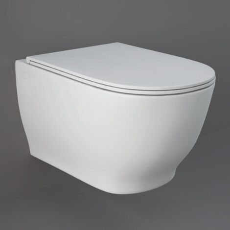 Rak Moon Rimless Wall Hung Toilet Hidden Fixations Soft Close Seat