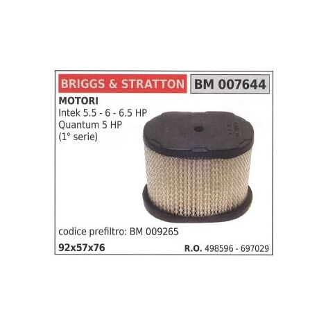 Filtro Aria Briggs Stratton Rasaerba Tagliaerba Intek Hp