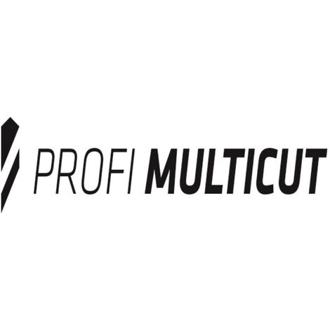 Alpen Profi Multicut Pm Punta Multiuso In Metallo Duro X Mm Sds