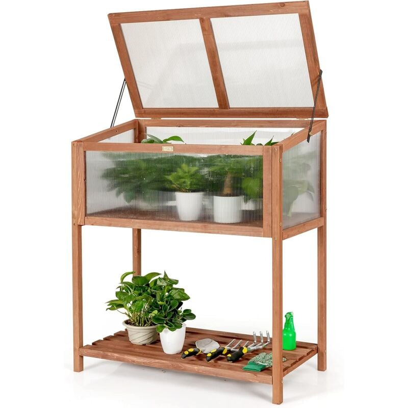 Invernadero de Madera Estante Cama Elevada Jardinera 90x49x104,5 cm para Plantas Cultivo para Jardín Balcón
Invernadero de Madera Estante Cama Elevada Jardinera 90x49x104,5 cm para Plantas Cultivo para Jardín Balcón